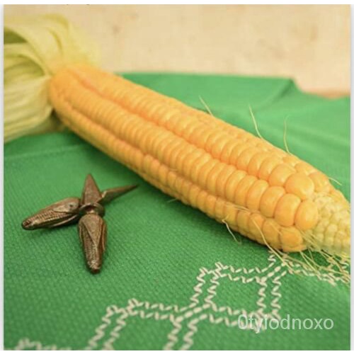 

Non-transgeneเPusaka +ด์ ]Jagung Manis Sayur EmasัธลBenihมBerkebun、100 พ็Kelasน、ุ[Tam 6BPM