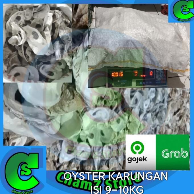

oyster media filter karungan 10kg / oyster karungan 10kg / oyster len02