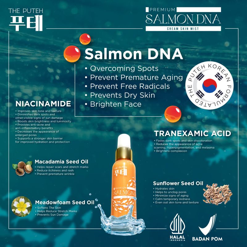 🇰🇷Salmon DNA 4 in1 Cream Skin Mist 60ML