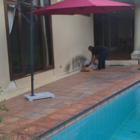 Payung Lux Tenda Gantung/ Payung Shower Angsa, Payung Pantai , Cafe.