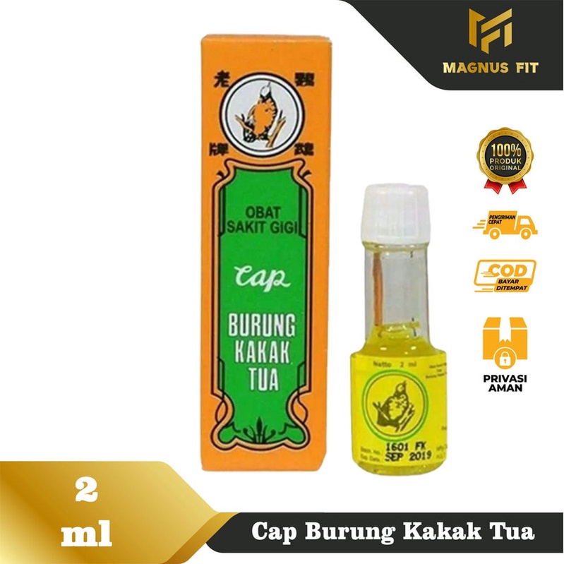 obat sakit gigi tradisional cap burung kakak tua ampuh menghilangkan 
 sakit gigi berlubang yang ngi