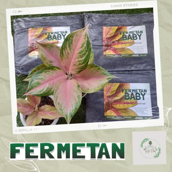 fermetan baby media tanam