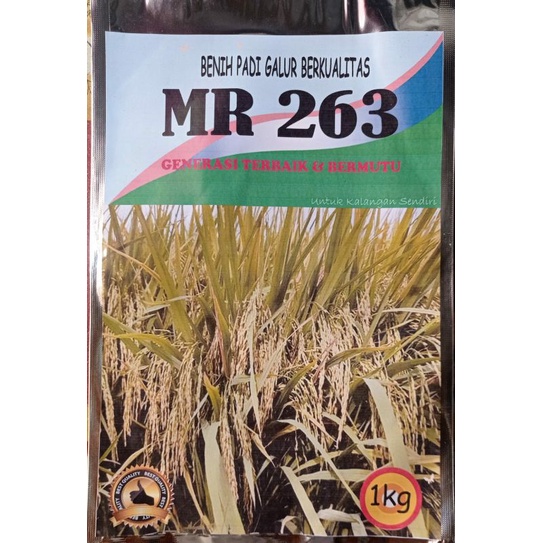 Benih Padi MR 263 Premium 1 kg