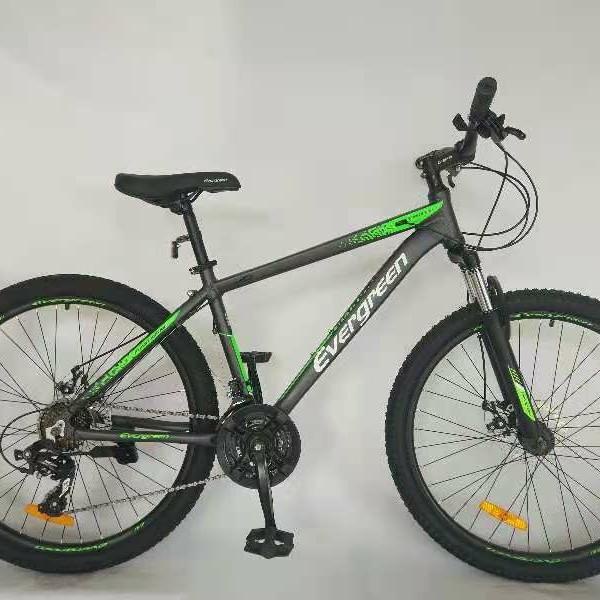 Terlaris Sepeda Mtb 26 Evergreen Blaze 680 Alloy 24 Speed