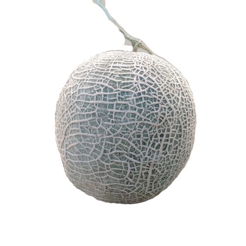 

Melon Red Saka - Total Buah