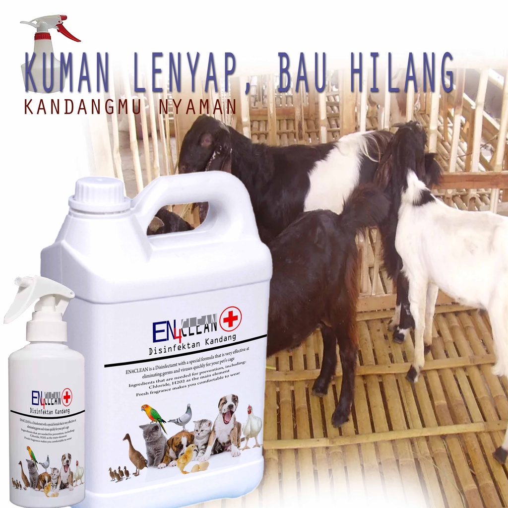 250ml-1L Spray bau kandang Desinfektan kandang kambing untuk menghilangkan kuman dan bau kotoran kambing EPS44 TK2