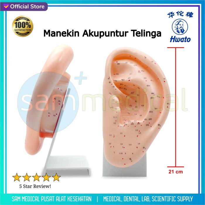 Terlaris Hwato Manekin Akupuntur Telinga / Alat Peraga Akupuntur
