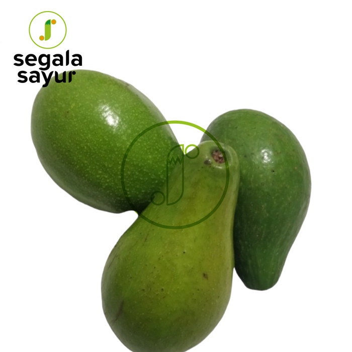 

ALPUKAT MENTEGA PULEN SUPER/ AVOCADO / 500gram