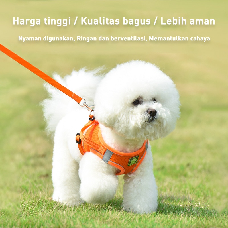 Holiven Rompi Tali Anjing Kucing Harness Hewan Peliharaan Reflektif Breathable Gaya Baru