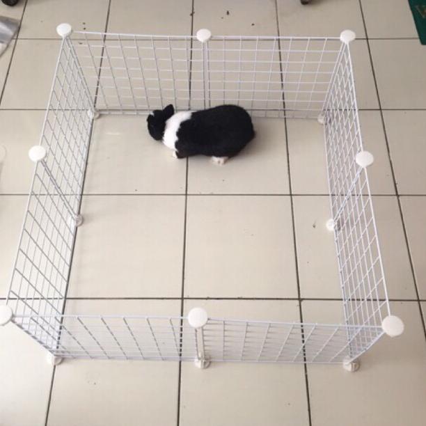 

C&C cage grid white colour 35 cm x 35 cm torto , guineapig and playpan