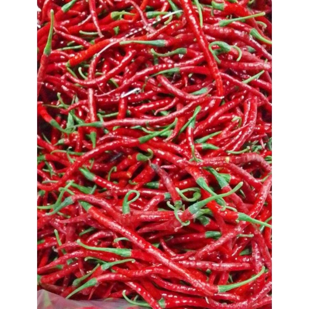 

cabe merah keriting 250gram