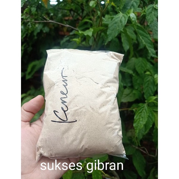 

Murah.. Bubuk kencur asli tanpa campuran 250 gram MAQ