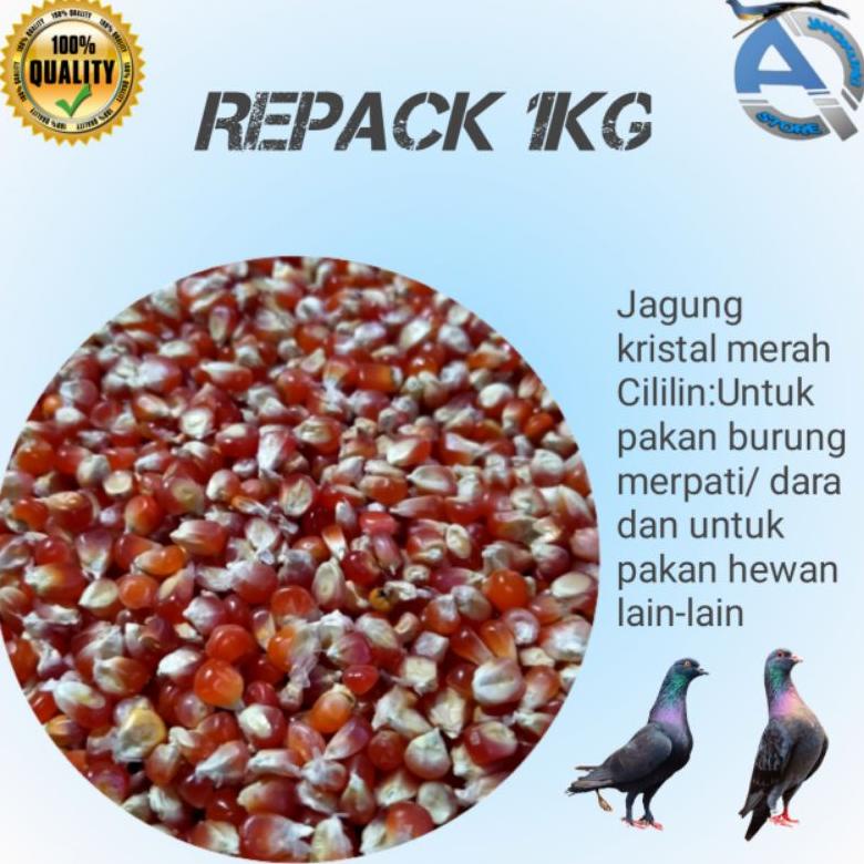 6.6 JAGUNG KRISTAL MERAH CILILIN REPACK 1 KG