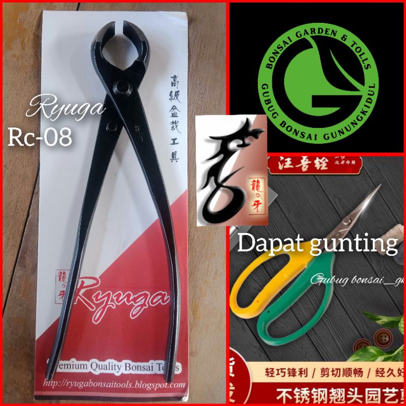 Catok bonsai, RYUGA RC-08 cembung carbon