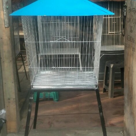 Kandang Limas Besar Buat Burung Beo Burung Jalak Dan Ayam Kate