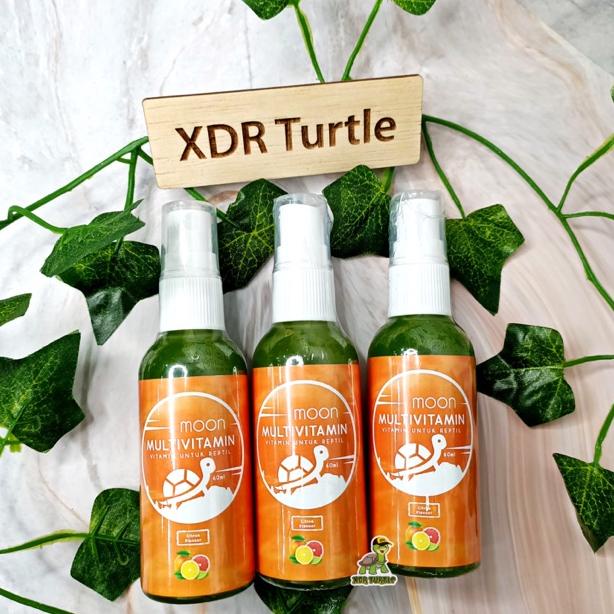 Laris Moon Multivitamin Kura Darat Penambah Nafsu Makan Sulcata Pardalis Hermani Istar Aldabra Radia