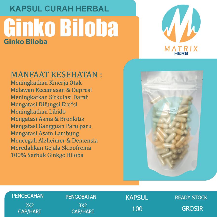 GINKGO BILOBA 100 Kapsul Curah Herbal Libido Anti Aging Kinerja Otak