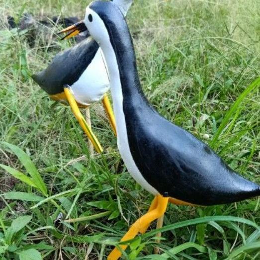 Ready Jontrot Patung Decoy Boneka Ruak Ruak Kareo Barburak Burung Sawah