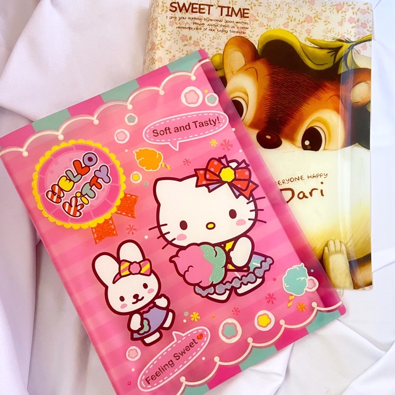 

POCKET FILE FOLDER