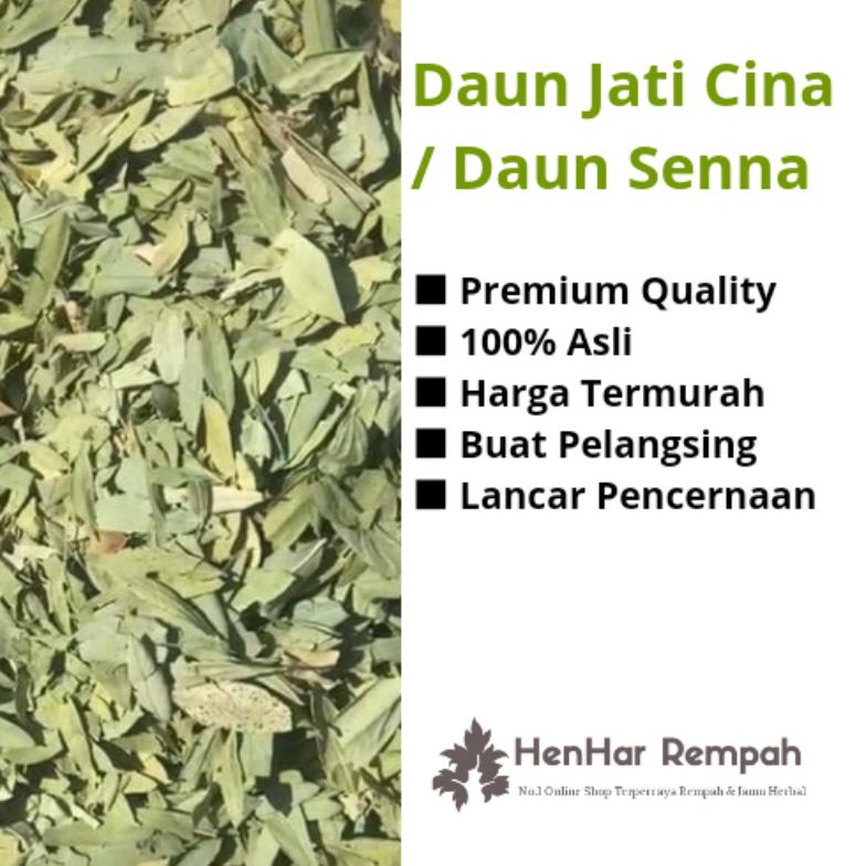 

Terkini Daun Jati Cina / Daun Senna untuk pelangsing 1 Kg 8KN