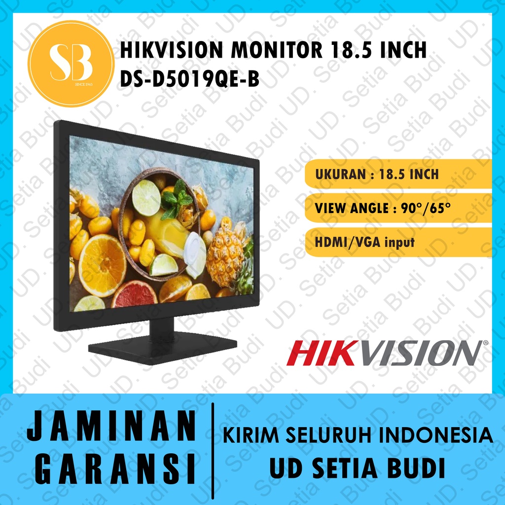 HIKVISION DS-D5019QE-B Monitor 18.5 Inch
