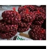 

bawang merah exskip super