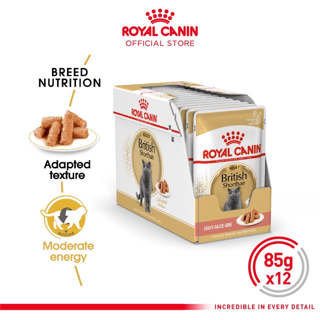 Royal Canin Adult British Shorthair Makanan Kucing Dewasa Wet 12X85gr - 1 Box