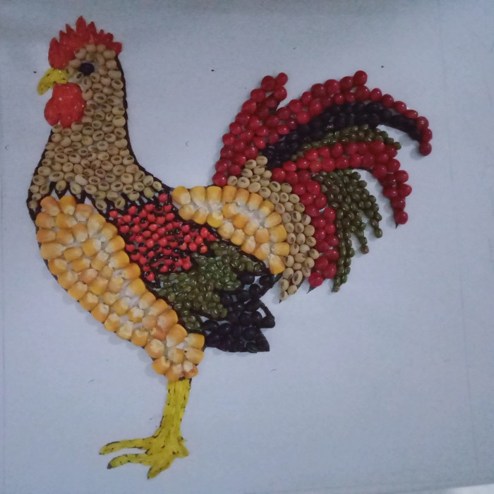 

Terlaris Paket Kolase Ayam Jantan Uk A3 9 Biji Bijian