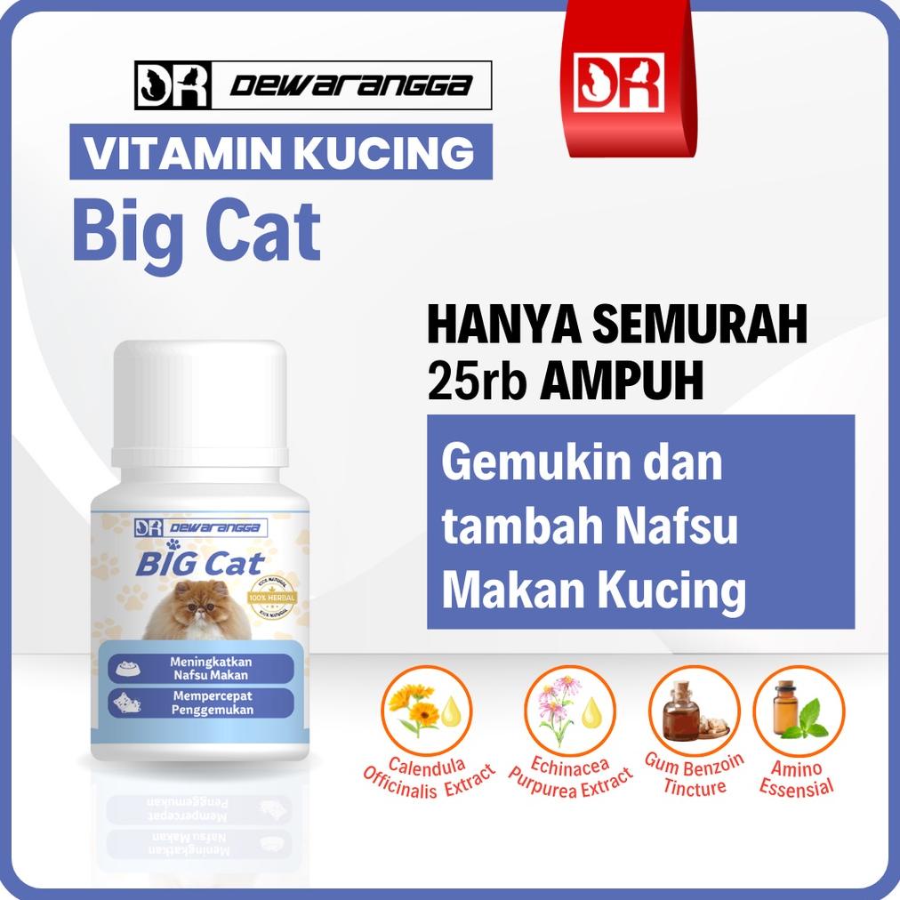 Discount Vitamin Kucing Big Cat Dewarangga - Vitamin Nafsu Makan Dan Penggemuk Kucing -  Vitamin Kuc