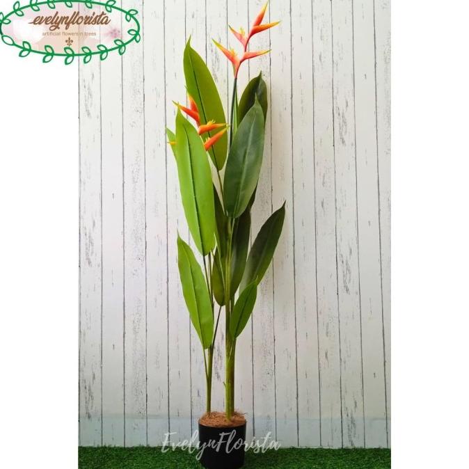 Pohon Hias Daun Pisangan Heliconia Bunga Bird Of Paradise T145 Latex  ---NEW----