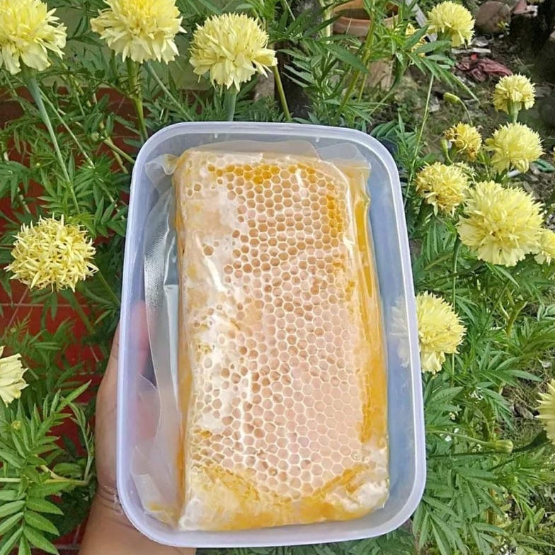 

8.8 FLASH SALE Sarang madu asli murni melifera 500 gr terlaris dari tangan pertama pure honey