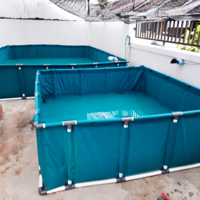 Terlaris Kolam Terpal Slot Pipa Fulset 150X100X80 Pvc Orchid