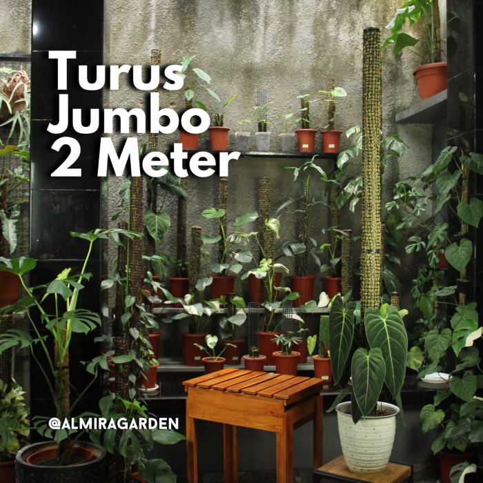 HOT SALE TURUS LUMUT 2 METER / MOSS POLE 200 CM / PENYANGGA TANAMAN MERAMBAT - MODEL JARING