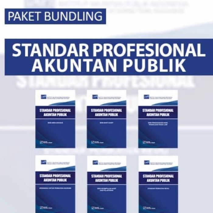 FLASH SALE BUKU STANDAR PROFESIONAL AKUNTAN PUBLIK 11 BUKU IAPI TERMURAH
