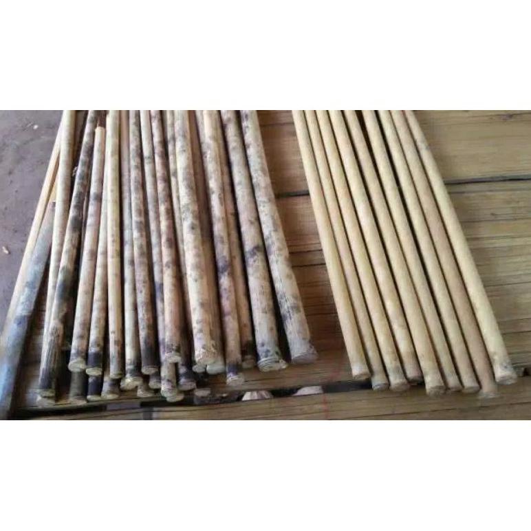Populer Bambu Tamiang Untuk Suling Sunda Wxy