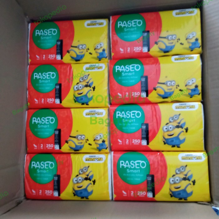 Tissue Paseo 250 Sheets 2 Ply Per Karton 1 Dus (48 Pcs)