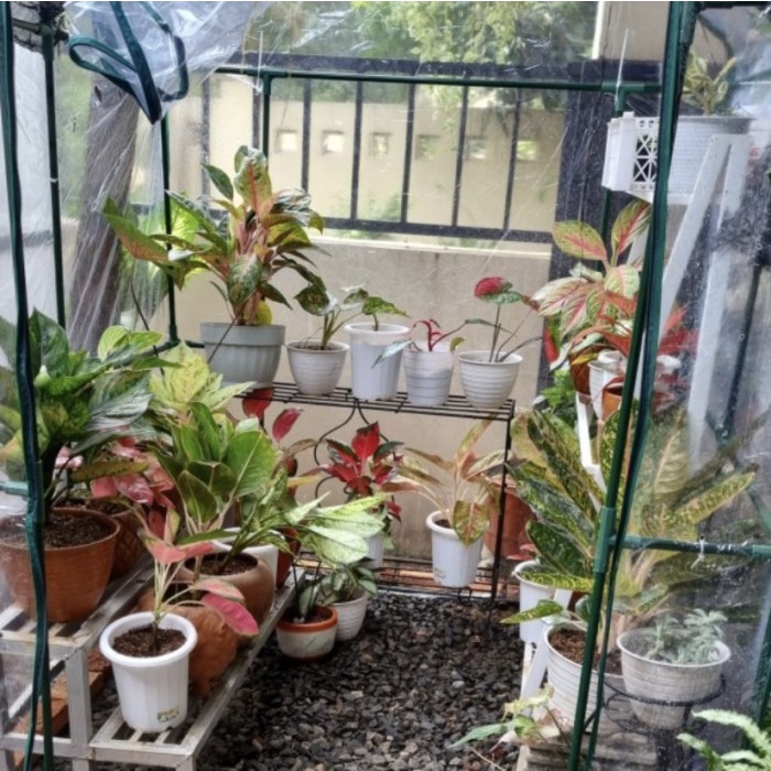 DISKON SPESIAL MINI GREEN HOUSE TANAMAN / LEMARI SUNGKUP / SUNGKUP TANAMAN TERMURAH