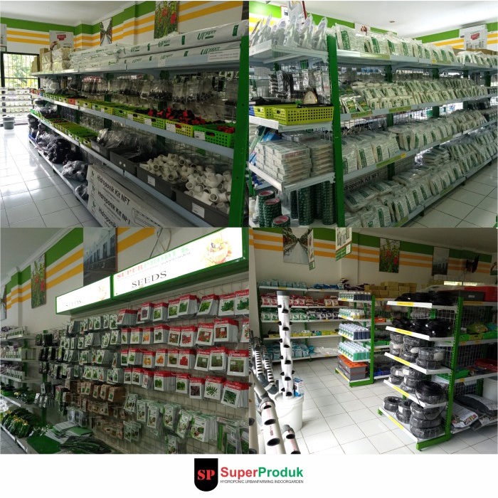 DISKON SPESIAL BENIH SELADA BABY ROMAINE XANADU ENZA INDOSEED LETTUCE ROMAINE TERMURAH