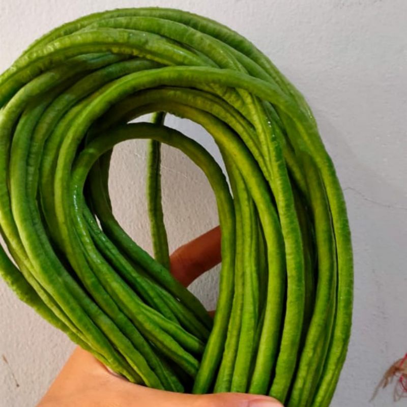 

sayur kacang panjang