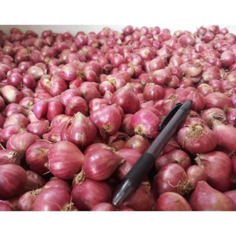

Model terbaru bawang merah brebes kering 1kg ukuran sedang 1kg FLE