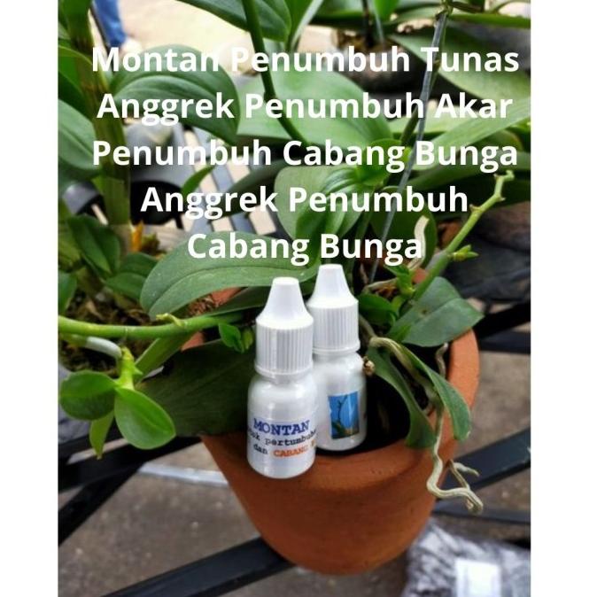 Sale 8.8 Montan Penumbuh Tunas Anggrek Penumbuh Akar Penumbuh Cabang Bunga Angg