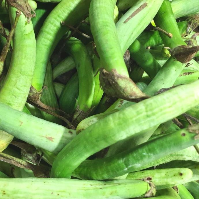 

New Terong Telunjuk Medan 500Gram