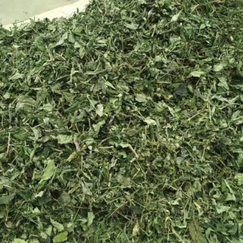 

Kualitas Premium.. SAMBILOTO KERING 1 KG B98