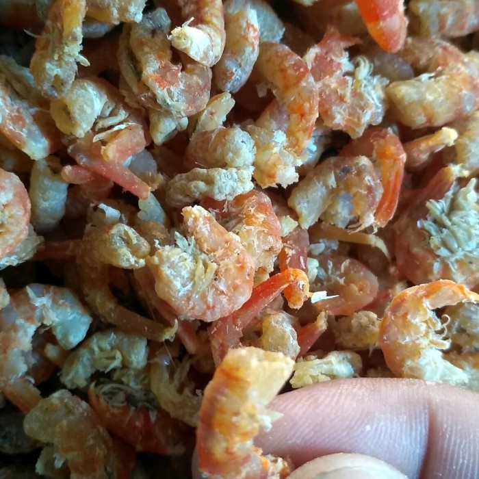 

Ebi Udang Kering Siboa Grade Aa 1/4 Kg