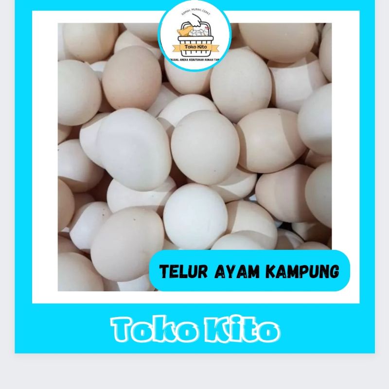 TELUR AYAM KAMPUNG / TELUR AYAM KAMPUNG ASLI SEGAR