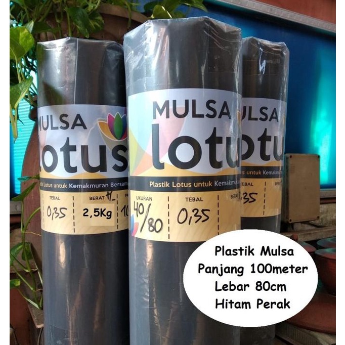 Mulsa Plastik pertanian Hitam Perak lebar 80 cm 1 rol tebal kuat murah