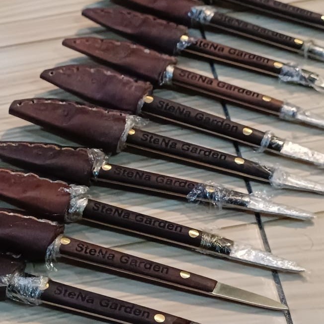 

Terlaris Pisau Aglaonema Baja Hss