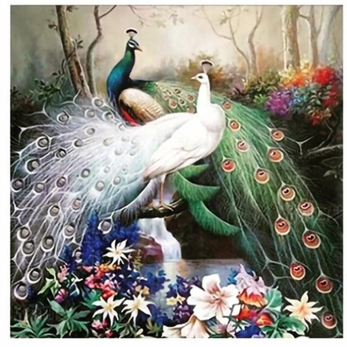 %$%$%$%$] paket kristik dua burung merak peacock bunga cross stitch