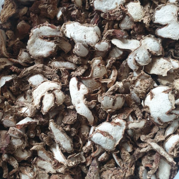 

Terbaru.. Kencur Kering Lokal Lebih Wangi Harum 1kg HB8