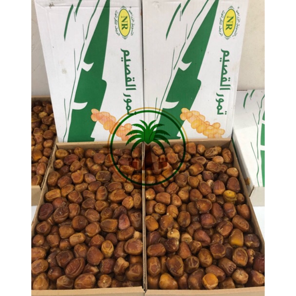 

Di⚡kon !! Kurma Sukari FRESH!! 3kg / Sukary AlQasim / Kurma Raja , Kurma Ruthab Rutob